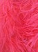 Boa DSI 5 Ply Fuchsia