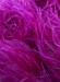 Boa DSI 5 Ply Hawaiian Pink
