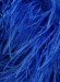 Boa Lux Cobalt