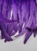 Перо FEATHERS DSI 25/30 см Purple