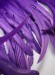 Перо FEATHERS DSI 25/30 см Purple