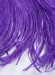Перья страуса Chrisanne Purple Rain